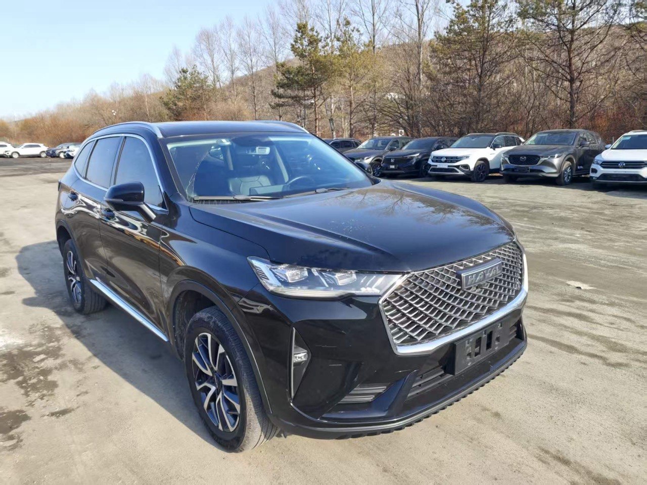 Haval H6, вид спереди